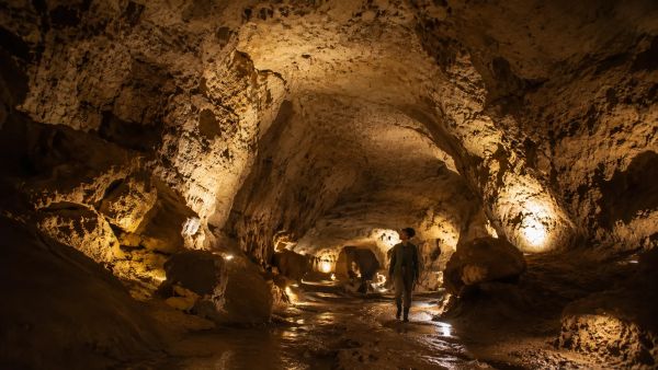 Sare grottes : une exploration surprenante de l'Histoire basque