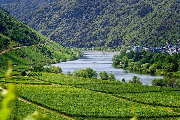 Comment les voyages responsables évoluent-ils ?