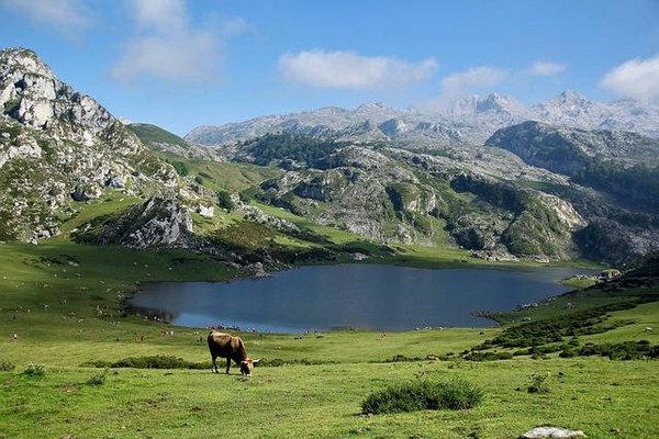 Découvrez ces espaces naturels préservés à visiter en France