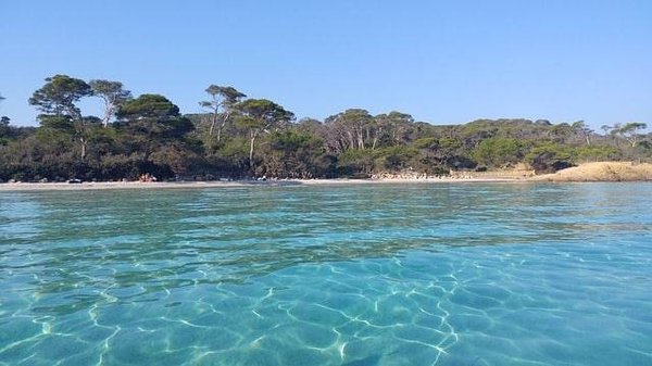 Quelles sont les activités sportives à découvrir dans le Var en camping ?