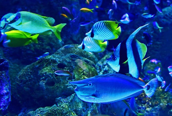 Découverte en famille : Que pensent les visiteurs de l'Aquarium du Périgord Noir ?